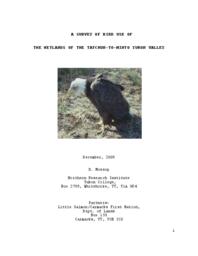 A survey of bird use of the wetlands of the Tatchun-to-Minto Yukon Valley
