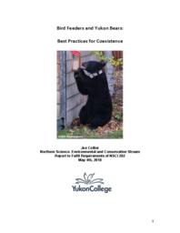Bird feeders and Yukon bears: Best practices for coexistence