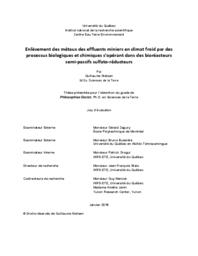 Enlèvement des métaux des effluents miniers en climat froid par des processus biologiques et chimiques s’opérant dans des bioréacteurs semi‐passifs sulfato‐réducteurs