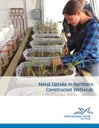 Metal uptake in northern constructed wetlands