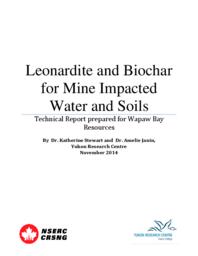 Leonardite and biochar for mine impacted water and soils: Technical report prepared for Wapaw Bay Resources