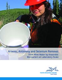 Arsenic, antimony and selenium removal from mine water by anaerobic bioreactors at laboratory scale
