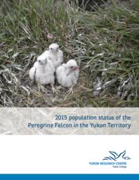2015 population status of the peregrine falcon in the Yukon Territory