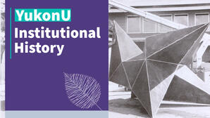 Institutional History
